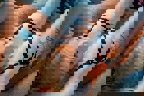 FabienneFoxACHTUNGneueNummer - +4917668958541, 017668958541, 0176-68958541