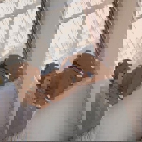 SofiqaNeu