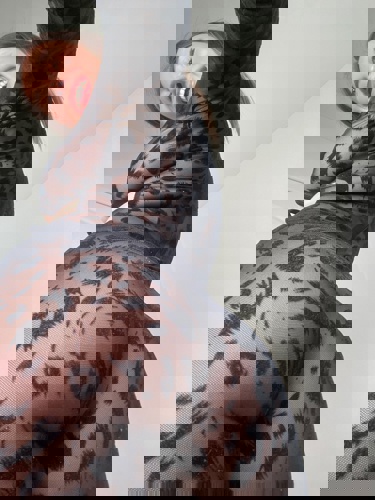 TINALEOTE1