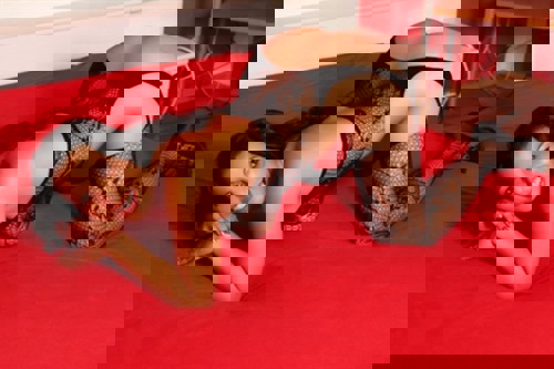 AlexaGANZNEUINDERSTADT15 - +4915213106434, 015213106434, 0152-13106434