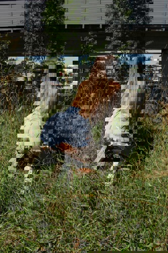 JasminGanzNeuindeinerstadt15 - +4915213063203, 015213063203, 0152-13063203
