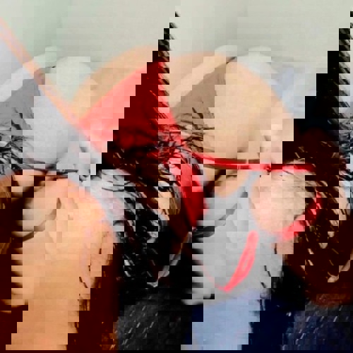 Ani16163