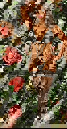ENGELSqurtingLady1 - +4915213335073, 015213335073, 0152-13335073