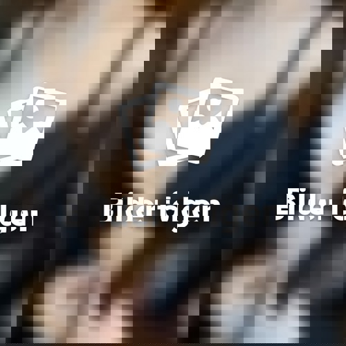 MiaimLH29