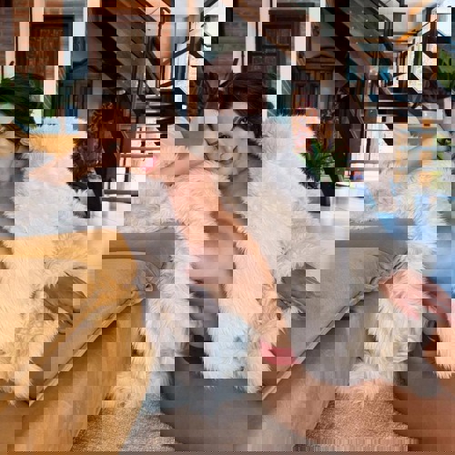 JuliaAlmeida5