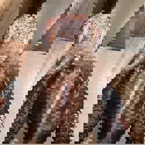 NEUDtAmalia100Jung18sampRealpriv
