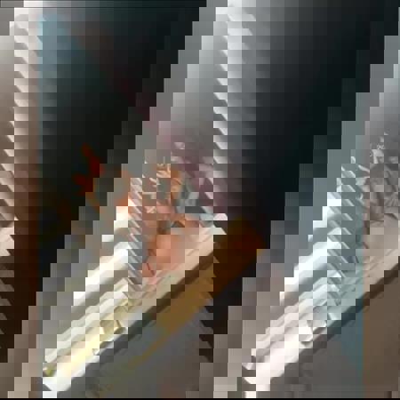 MagicMayaschreibennurWhatsApp - +491784677658, 01784677658, 0178-4677658