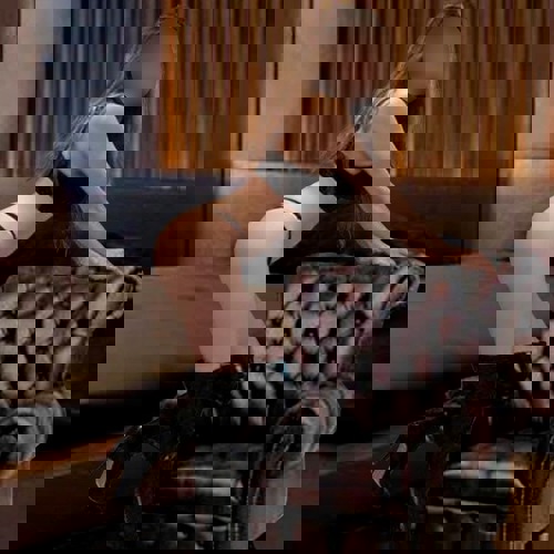 PiaThaiMassageleichteDominaampAV