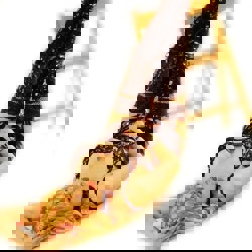 TransDeborah